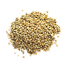 Millet