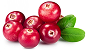 Cranberry